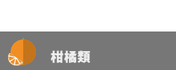 柑橘類
